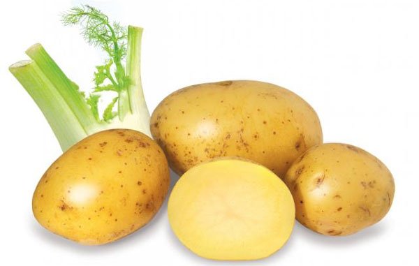 Cách chăm sóc da mặt tự nhiên hiệu quả từ khoai tây