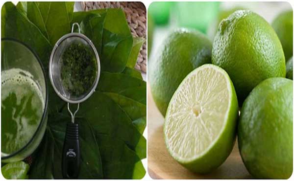 Mặt nạ trầu không và chanh