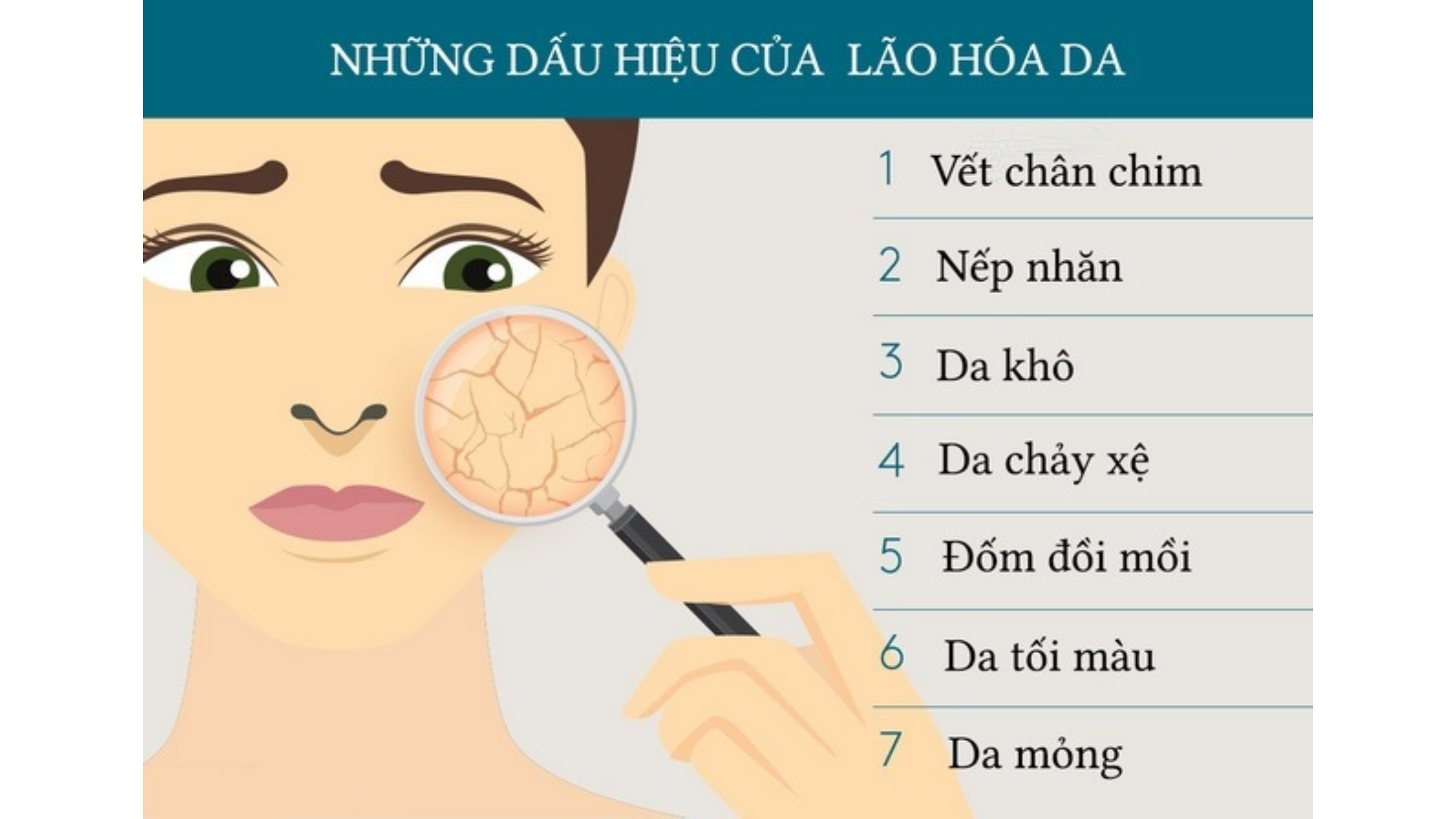 Giải Pháp Da Lão Hóa